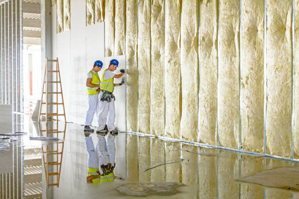 Range of Insulation Solutions in Dexter, NM